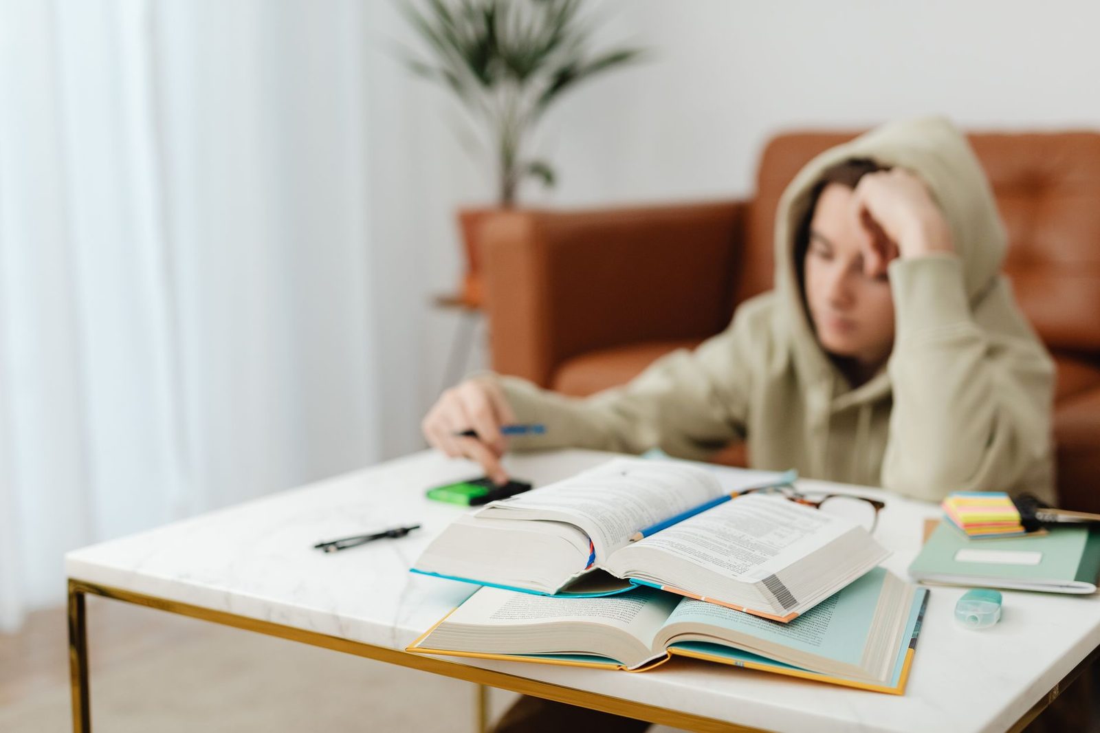 Junior student studying at a desk
