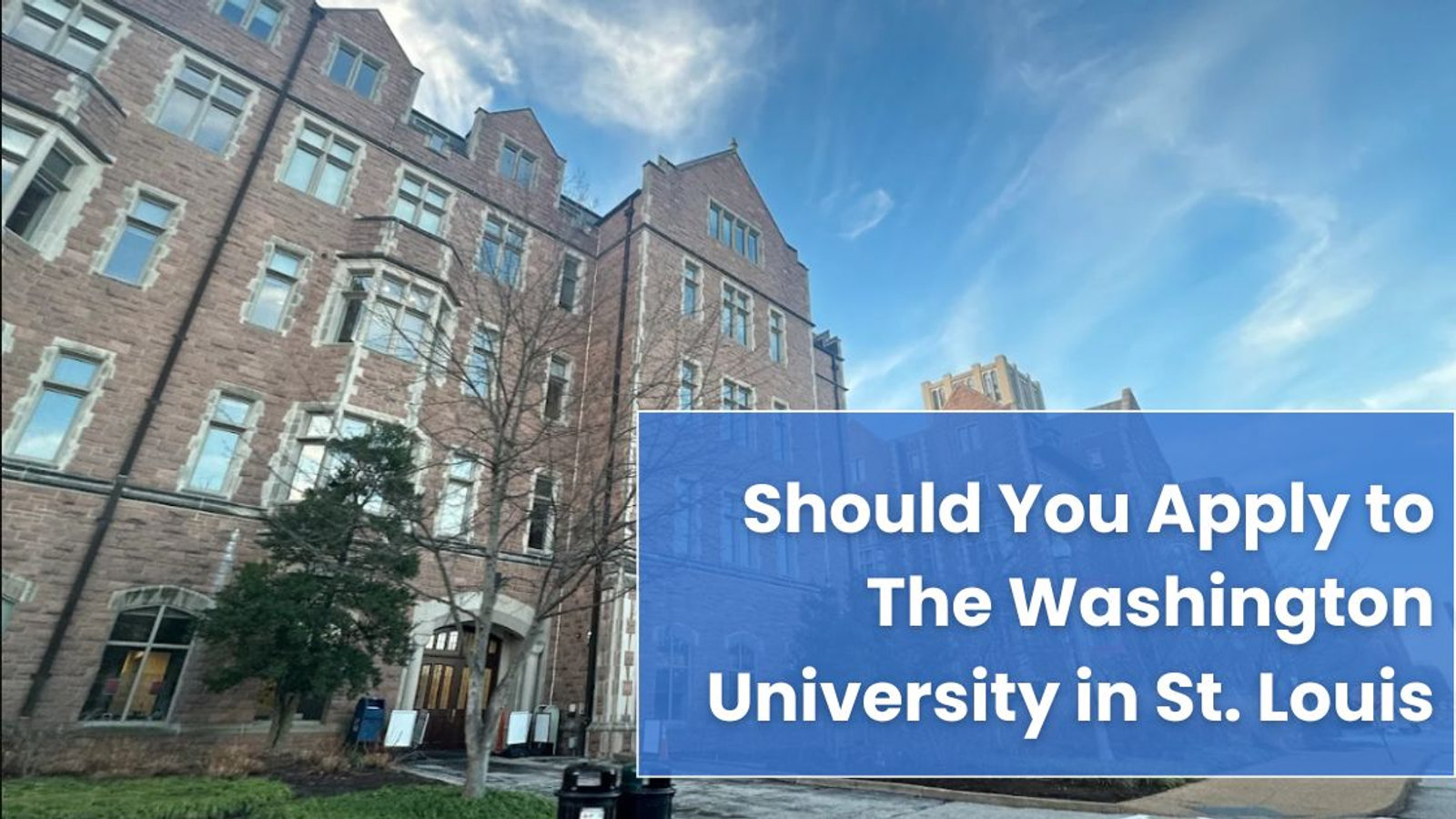 Should You Apply to The Washington University in St. Louis? A 360° Decision Guide