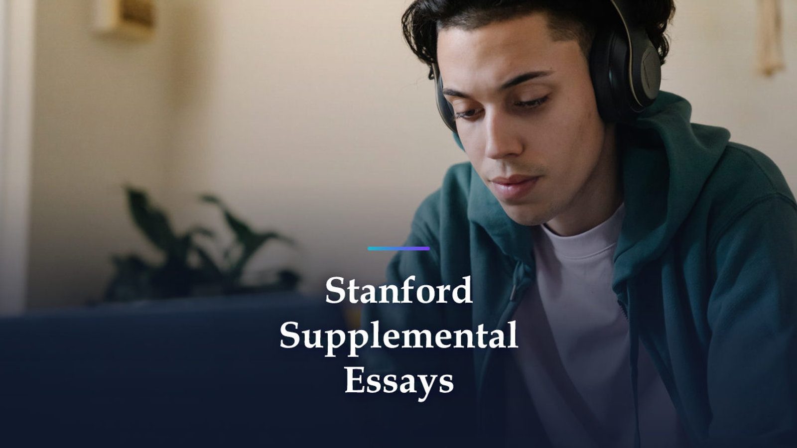 Stanford Supplemental Essays: Plan the Five Short Questions and Three Essays as One Set