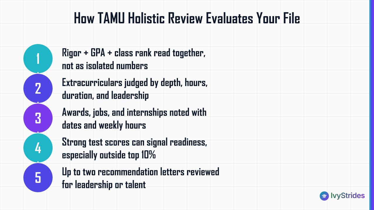 5-step diagram showing how Texas A&M holistic review weighs grades, activities, test scores, and recommendations